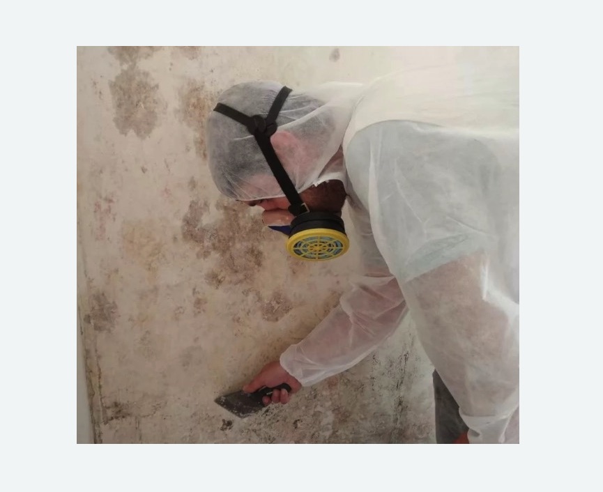 Обработка стен от плесени в Люблино города Москвы